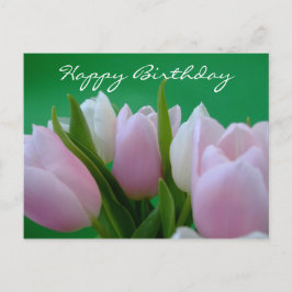 Happy Birthday - Tulips Postcard Postkarte