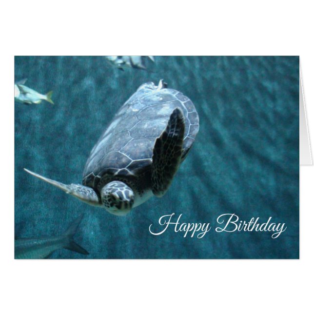 Happy Birthday Turtle and Shark Birthday Card (Vorderseite (Horizontal))