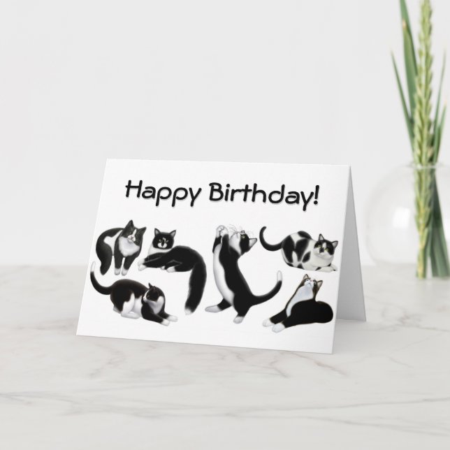Happy Birthday Tuxedo Cats Card Karte (Vorderseite)