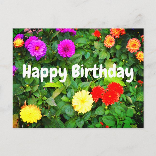 Happy Birthday Varia Dahlias #1 Postkarte (Vorderseite)