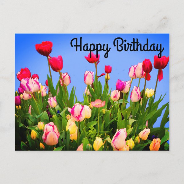 Happy Birthday Varia Tulips #3 Postkarte (Vorderseite)