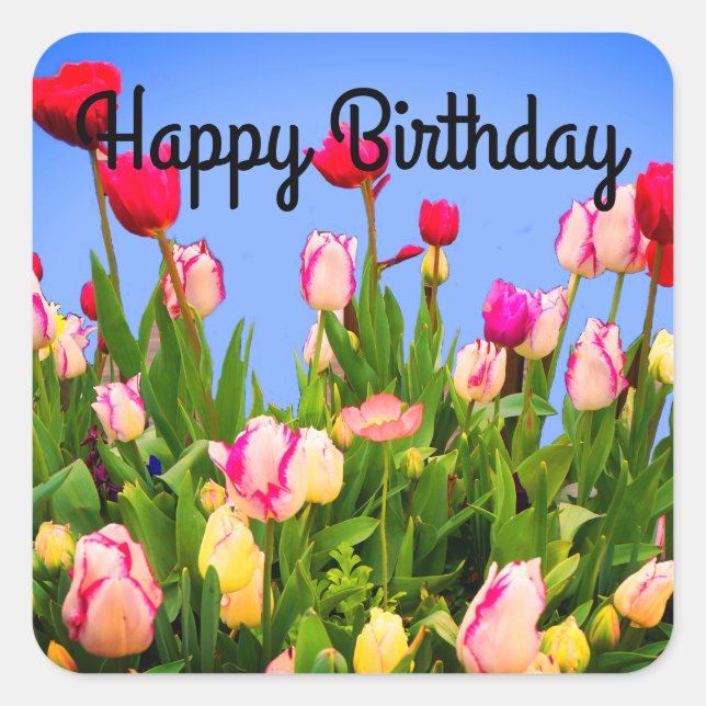 Happy Birthday Varia Tulips #3 Stickers (Vorderseite)