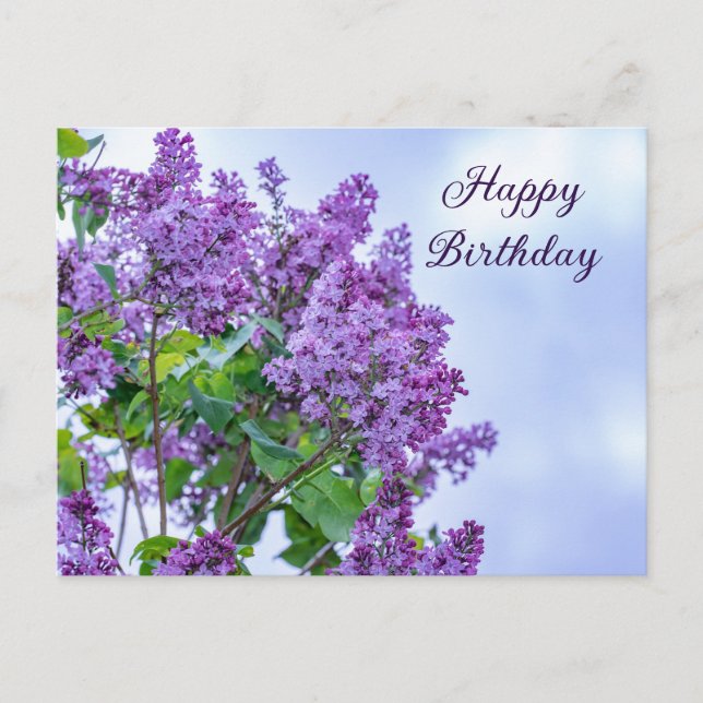 Happy Birthday Vibrant Lila Lilac Blume Postkarte (Vorderseite)