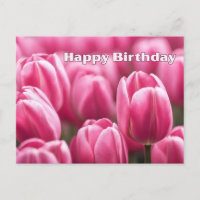 Happy Birthday Vibrant Pink Tulip Blume
