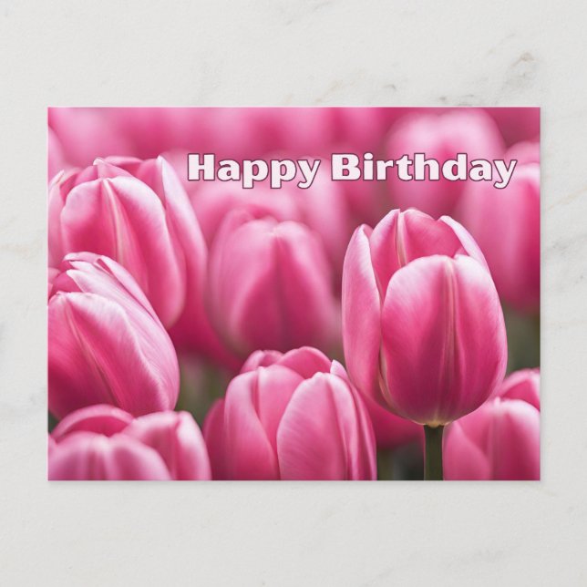 Happy Birthday Vibrant Pink Tulip Blume Postkarte (Vorderseite)