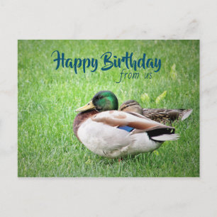 Happy Birthday von US Postcard Postkarte