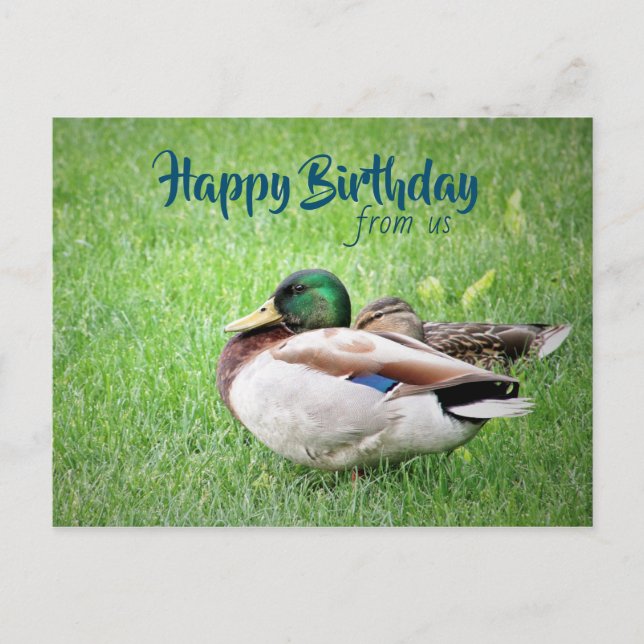 Happy Birthday von US Postcard Postkarte (Vorderseite)