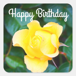 Happy Birthday Walking auf Sunshine Rose #1 Aufkle Quadratischer Aufkleber