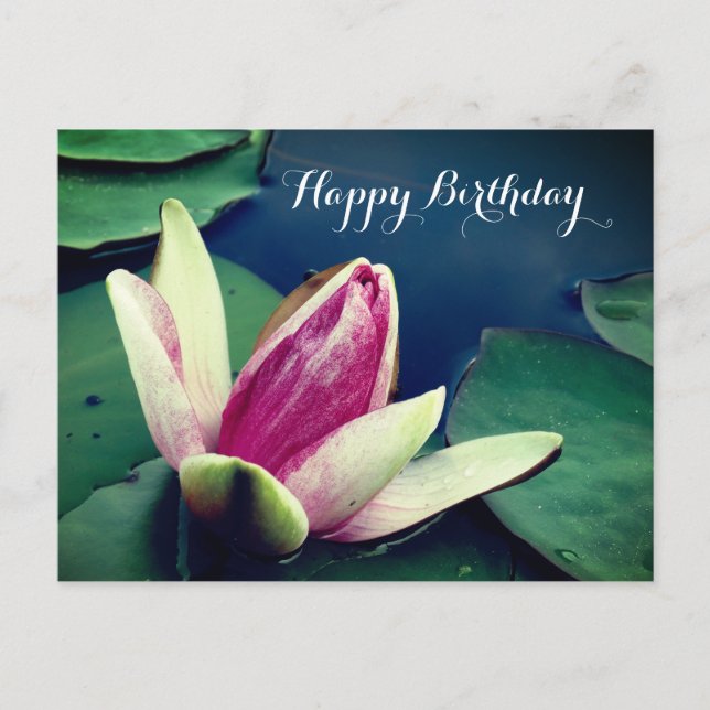 Happy Birthday Water Lilly Poscard Postkarte (Vorderseite)