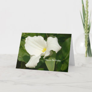 Happy Birthday-White-Blume Karte
