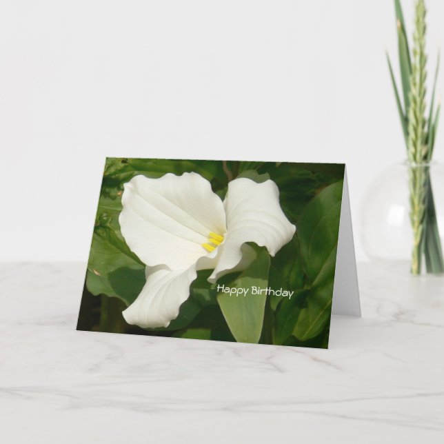 Happy Birthday-White-Blume Karte (Vorderseite)