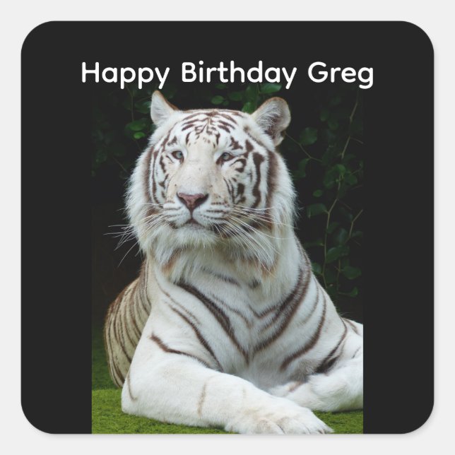 Happy Birthday White Tiger Square Sticker (Vorderseite)