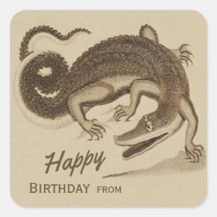 Happy Birthday Wild fröhliches Krokodil CC0892 Quadratischer Aufkleber