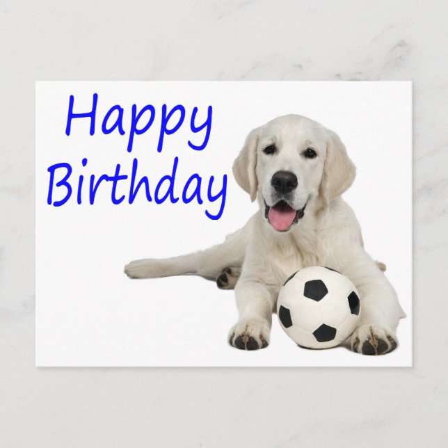 Happy Birthday Yellow Labrador Retriever Postcard Postkarte (Vorderseite)