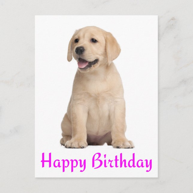 Happy Birthday Yellow Labrador Retriever Postcard Postkarte (Vorderseite)
