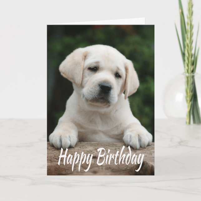 Happy Birthday Yellow Labrador Retriever Puppy Dog Karte (Vorderseite)