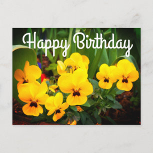 Happy Birthday Yellow Pansy #1 Postcard Postkarte