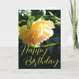 Happy Birthday Yellow Rose Card Karte