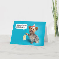 Happy Birthday Yorkie Hund mit Gesichtsmaske