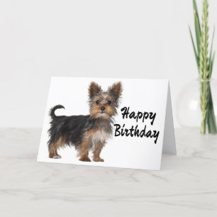 Happy Birthday Yorkshire Terrier Puppy Dog Karte