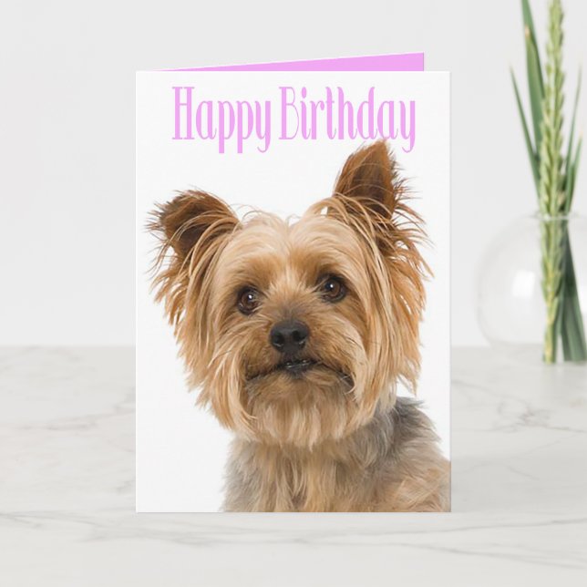 Happy Birthday Yorkshire Terrier Puppy Dog Pink Karte (Vorderseite)