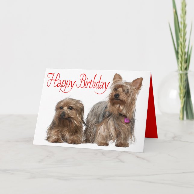 Happy Birthday Yorkshire Terrier Puppy Dog Red Karte (Vorderseite)