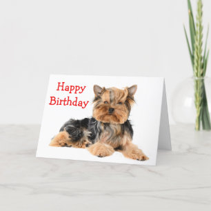 Happy Birthday Yorkshire Terrier Puppy Dog Red Karte