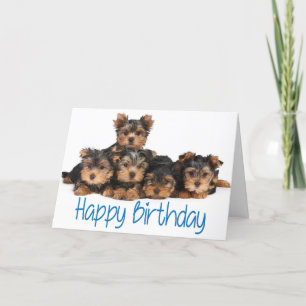Happy Birthday Yorkshire Terrier Welpe Hund Blue Karte