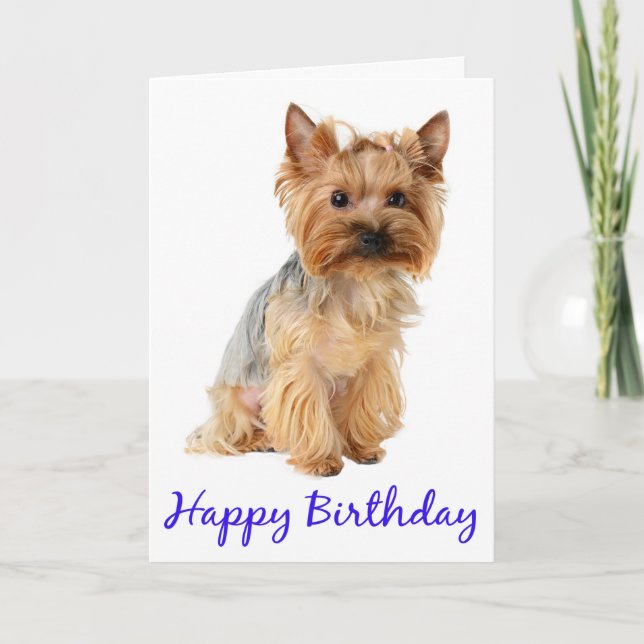 Happy Birthday Yorkshire Terrier Welpe Hund Card Karte (Vorderseite)