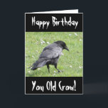 Happy Birthday You Old Crow Insult Geburtstagskart Karte<br><div class="desc">Alles Gute zum Geburtstag,  Ihr Altes Kraut Geburtstagskarte - Eine schwarze Aasenkrähe im Gras auf der Suche nach köstlichen Leckereien. Die Krähe war im lokalen Park,  als ich dieses Foto auf dem Feld nahm. Schwarze Krähen Design perfekt für Halloween.</div>