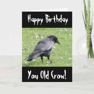 Happy Birthday You Old Crow Insult Geburtstagskart Karte