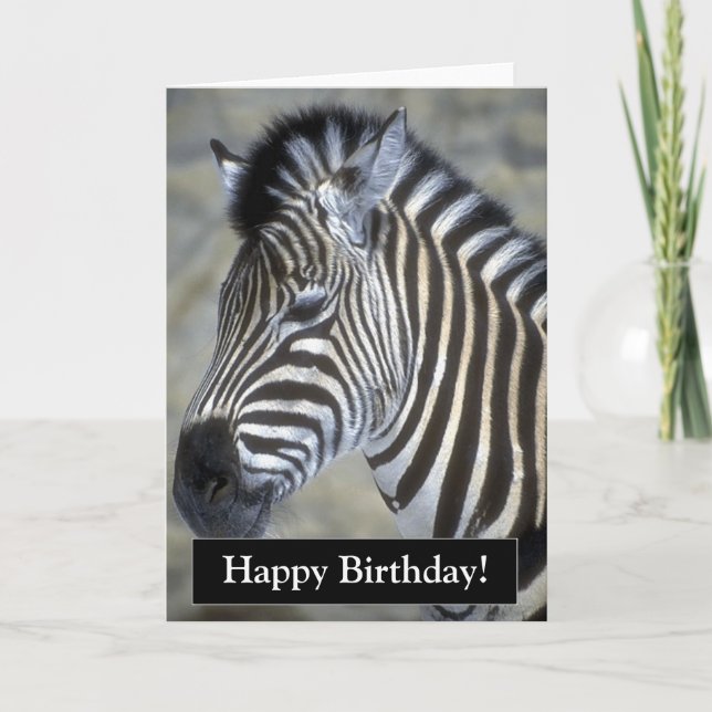 Happy Birthday Zebra Card Karte (Vorderseite)