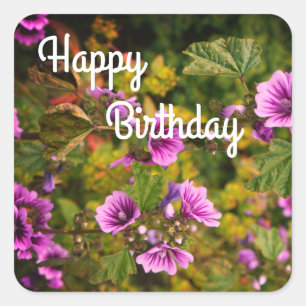 Happy BIrthday Zebra Hollyhock Blume Stickers