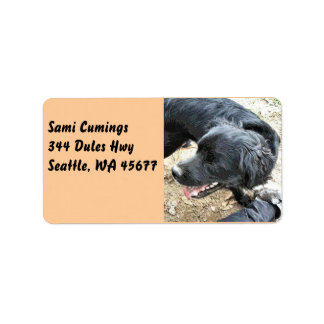 Happy Black Cocker Spaniel Adressaufkleber