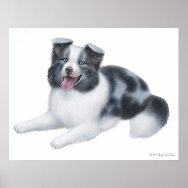 Happy Blue Merle Border Collie Dog Print Poster (Vorne)