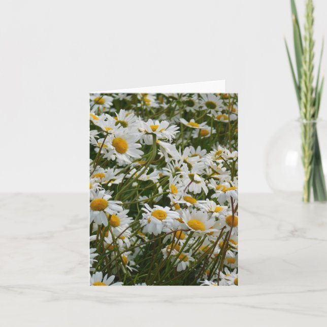 Happy Blume Meadow - Happy face lächelnd daisy (Vorderseite)