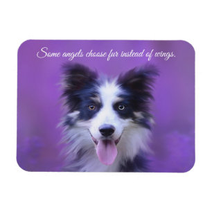 Happy Border Collie Dog, Angel with Fur Magnet