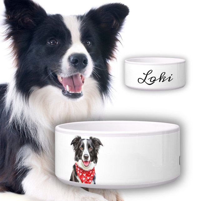 Happy Border Collie Dog Name Napf (Von Creator hochgeladen)