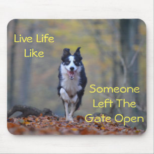 Happy Border Collie Hund läuft und spielt Mousepad