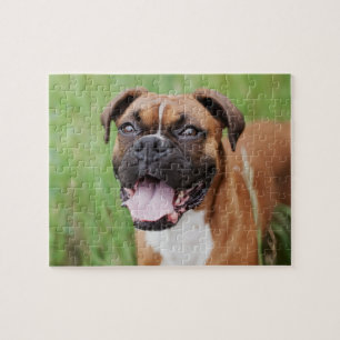 Happy Boxer 8x10 Puzzle