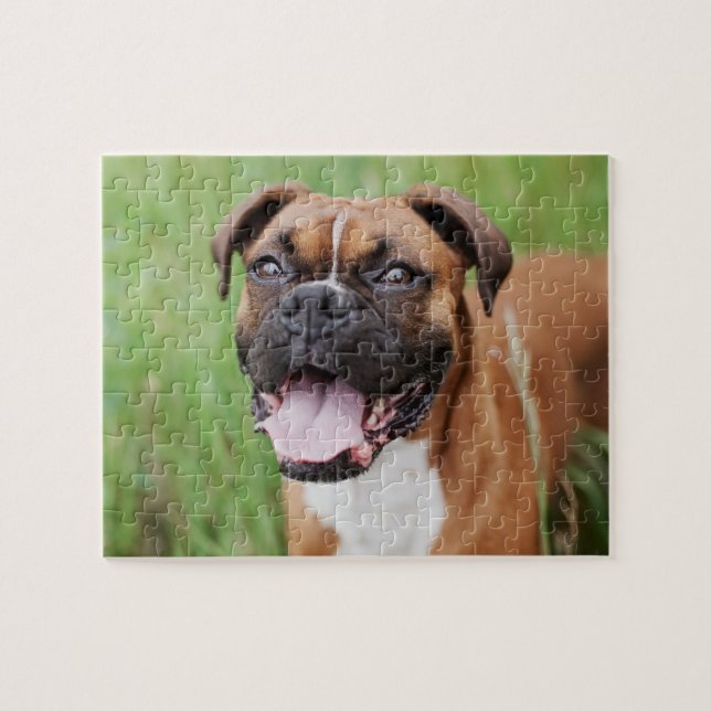 Happy Boxer 8x10 Puzzle (Horizontal)