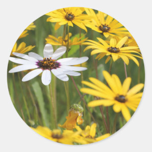 Happy Bright Yellow Flowers Gastgeschenk Hochzeit  Runder Aufkleber