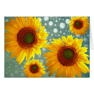 Happy Bubbly Sunblumen