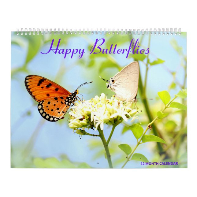 Happy Butterflies Kalender (Titelbild)