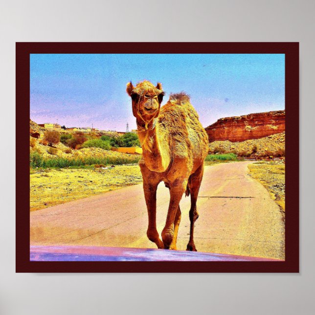 Happy Camel Poster (Vorne)