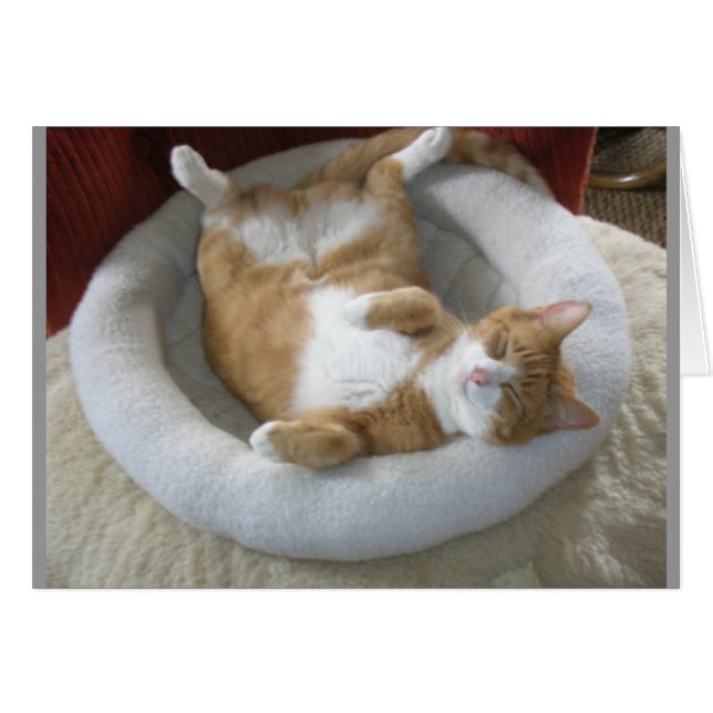 Happy Cat (Vorderseite (Horizontal))