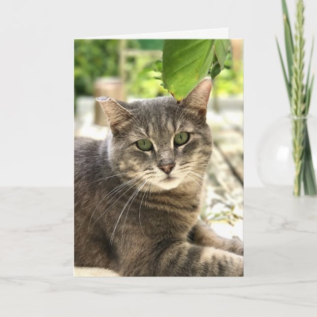 Happy Cat Grußkarte Dankeskarte (Vorderseite)