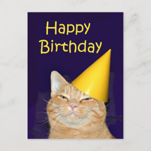 Happy Cat Happy Birthday Postkarte