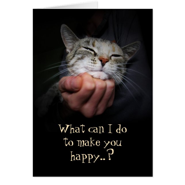 Happy Cat: Was kann ich tun, um dich glücklich zu  (Vorne)
