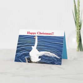 Happy Christmas Swan Karte